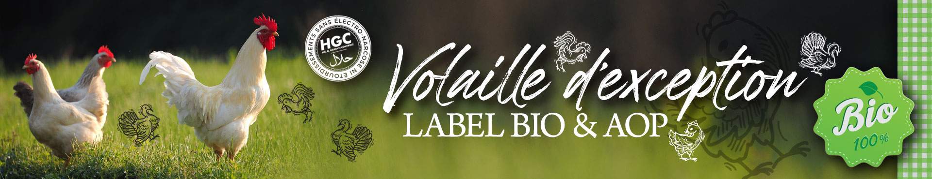 Volaille halal bio fermiere de qualité en ligne